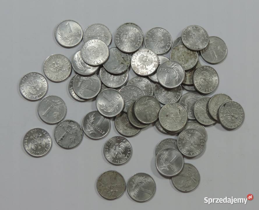 ZESTAW 50x MONETA OBIEGOWA POLSKA PRL 1 GROSZ Warszawa sprzedam