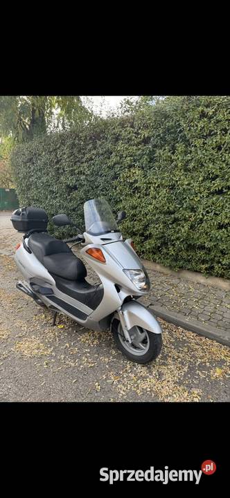 Honda Pantheon 125 2T Rok produkcji 2001 Warszawa