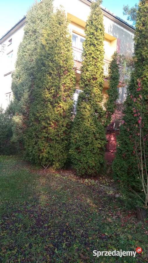 Dom 100 m z dużą działką Ostrowiec Świętokrzyski