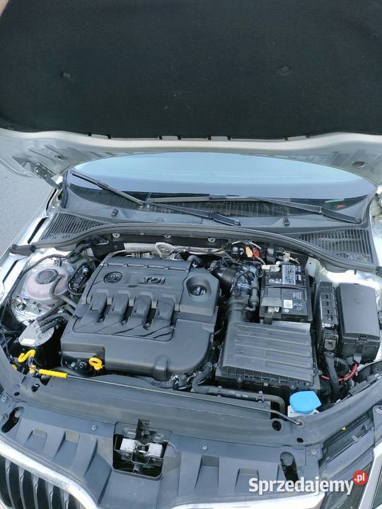 Skoda Octavia 20 TDI Salon Polska dolnośląskie Trzebnica