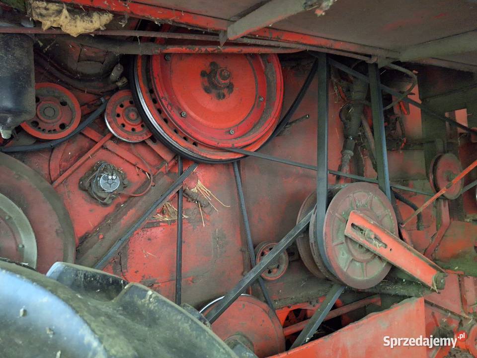 Bizon Z056 Świdnik Mały