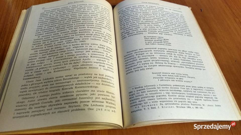 Studia z zagadnień poetyki i socjologii form Gdańsk sprzedam