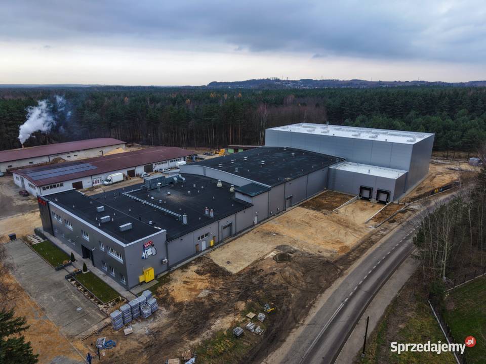 Usługi nagrywania dronem Usługi dronem Łódź