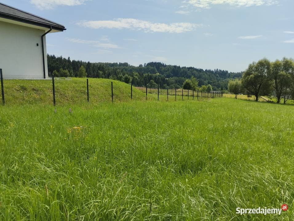 Sprzedam ziałka budowlana Łętownia woj małopolskie