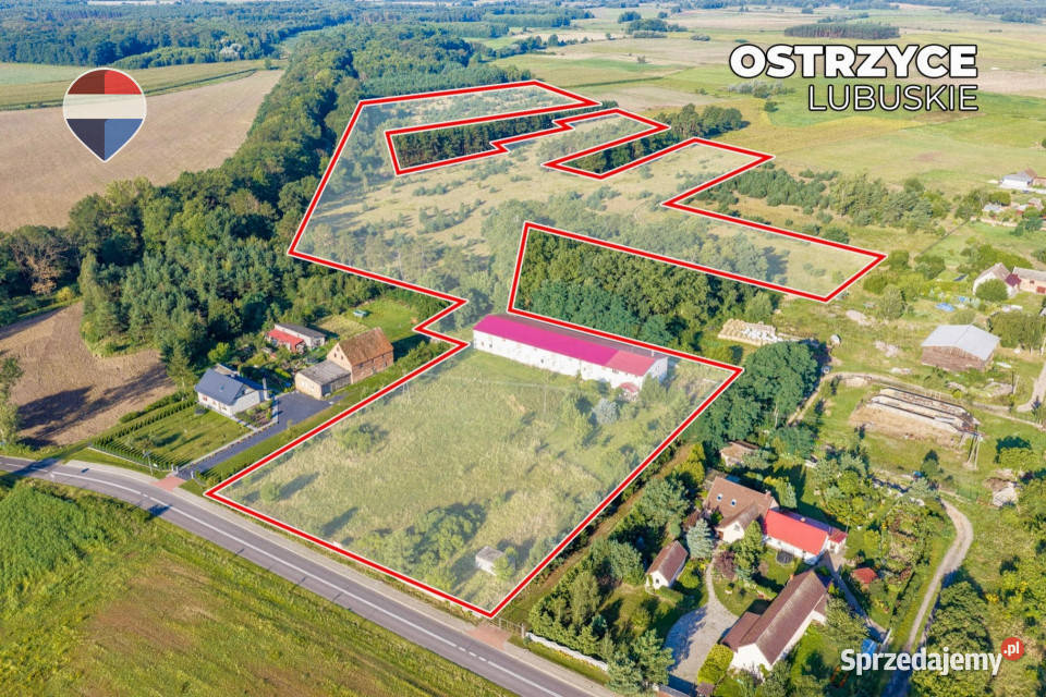 Działka 99100 m budynek prodmagazyn mieszkanie Ostrzyce