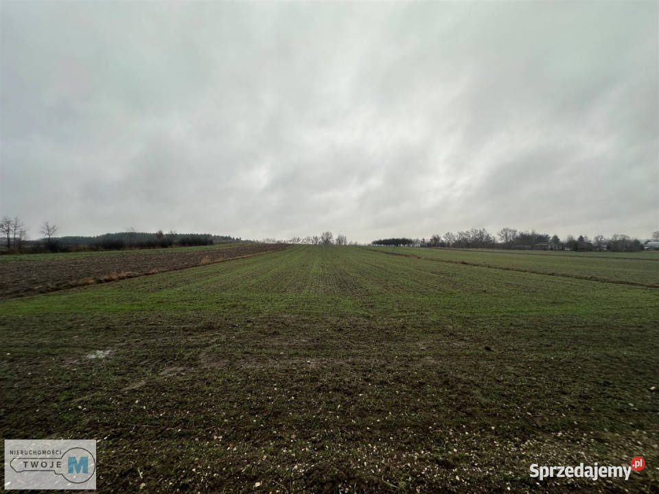 Działka 5800m2 Gnojno