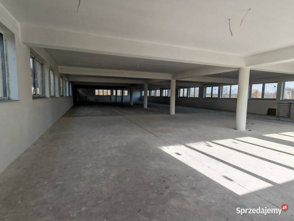 Hala handlowousługowa w centrum Bełchatowa Bełchatów sprzedam
