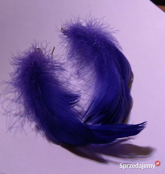 Fioletowe kolczyki pióra piórko pióro wysyłka Warszawa