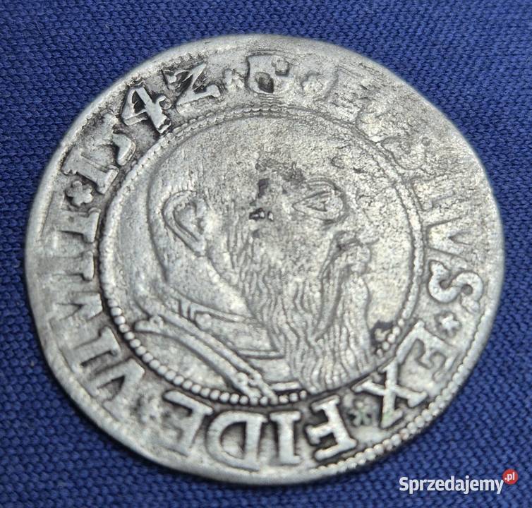Wschodnie Prusy 1Grosz 1542 Królewiec Albrecht sprzedam