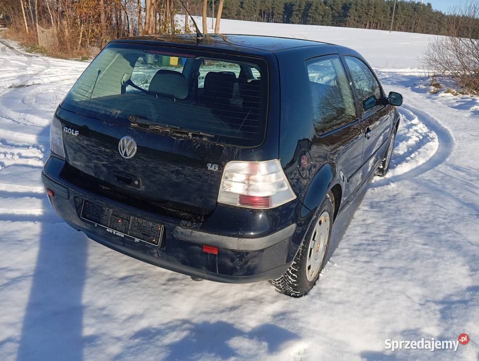 Golf 4 benzyna Pelplin