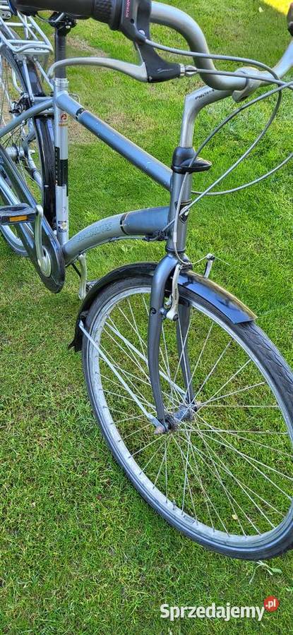 Rower meski Batavus Człuchów