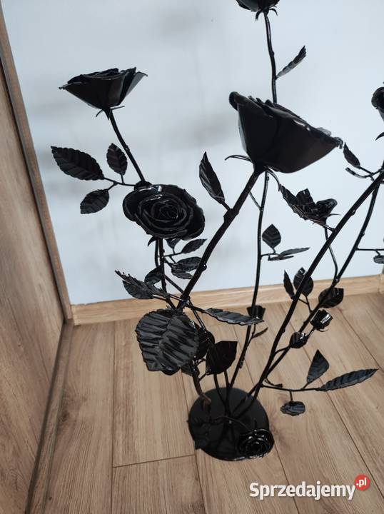 Róża metalowa dolnośląskie Rosochata