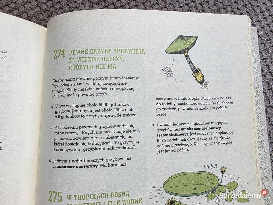 321 superciekawych faktów które trzeba poznać małopolskie Kraków