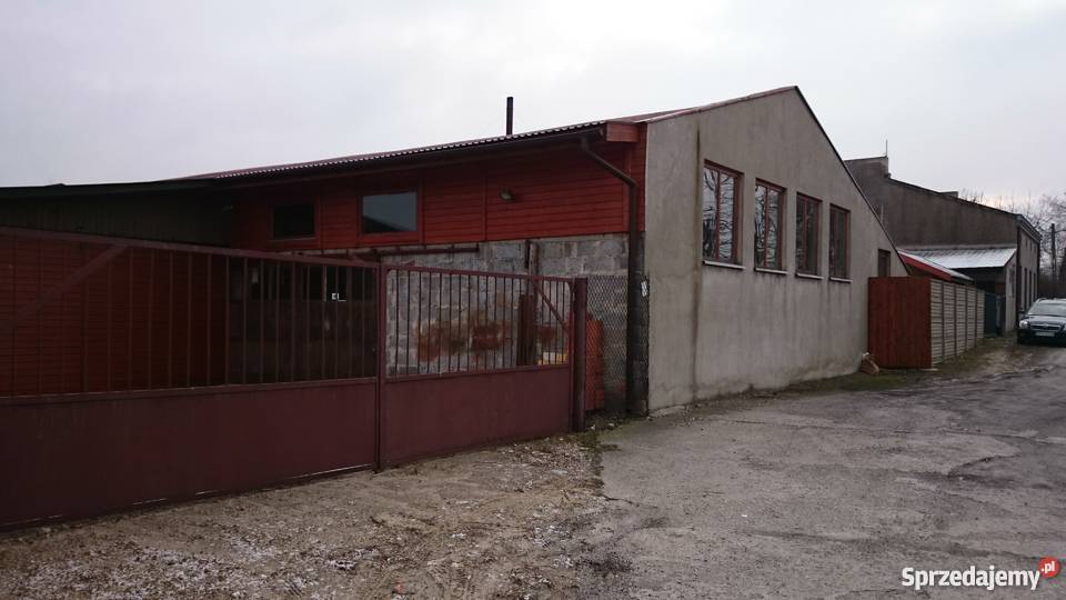 Stolarnia 2 Halebiuro Maszyny 1000m2 Centrum Pabianice sprzedam