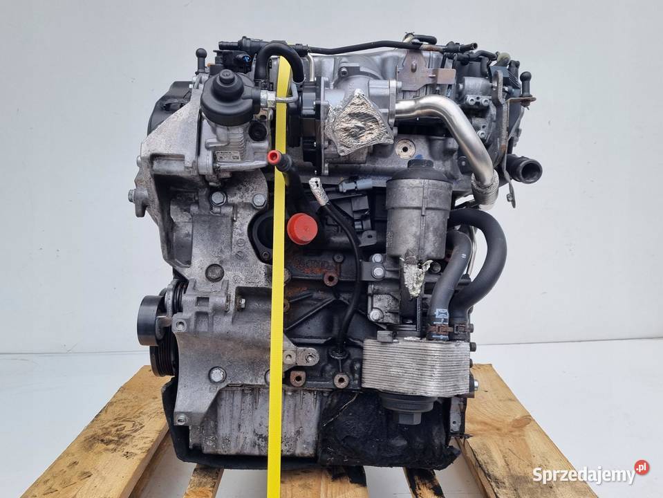 SILNIK KOMPLET Audi A3 II 8P 20 TDI 140 Janów