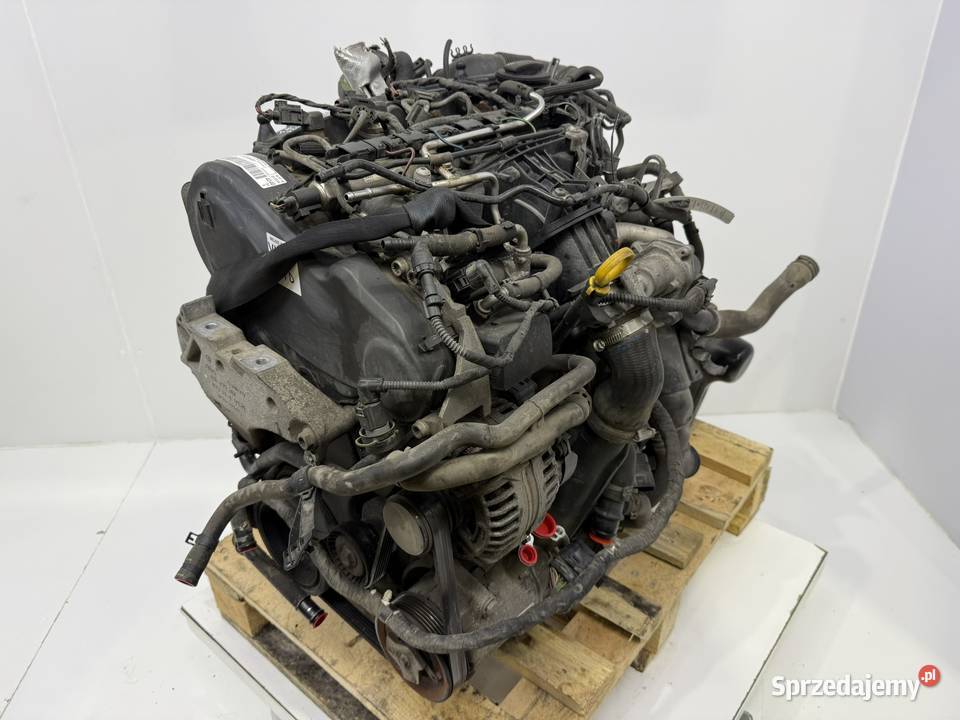 SILNIK CAY CAYD VW Caddy III IV 16 TDI 102 Chełm