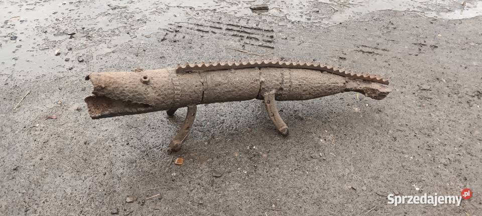 Krokodyl aligator Mymoń