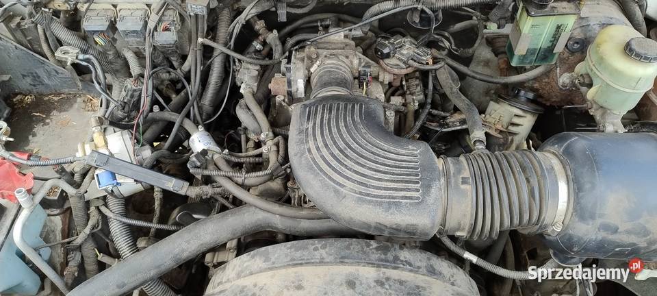Ford Expedition 54L części wielkopolskie