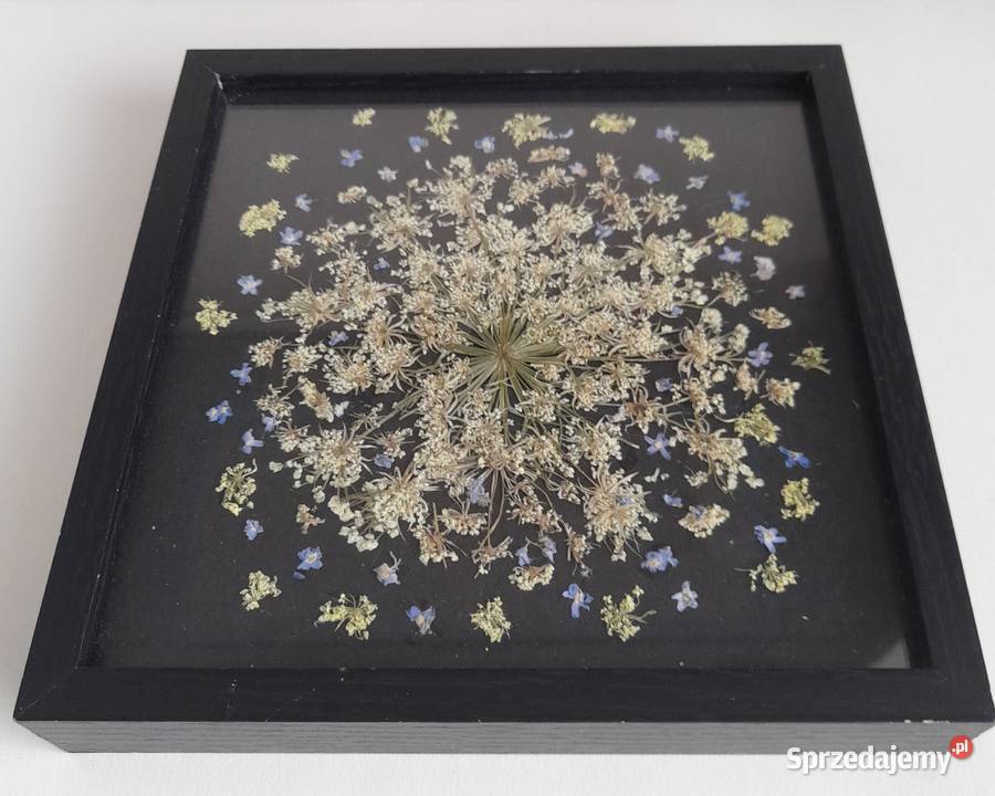 Obraz Kwiatowy Kompozycja Niezapominajki w Rękodzieło