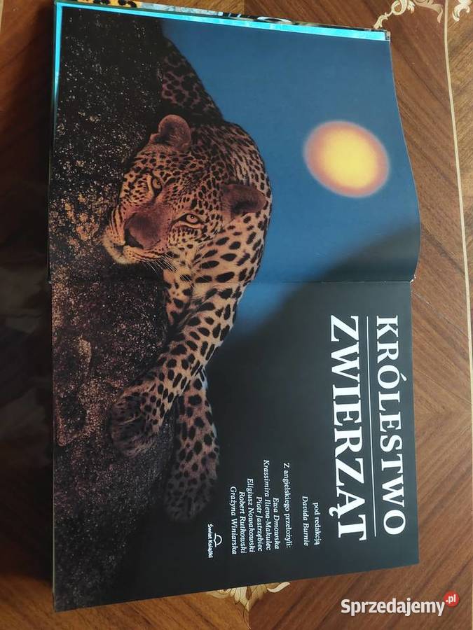 Królestwo zwierząt encyklopedia Świat Książki DK śląskie Tychy sprzedam