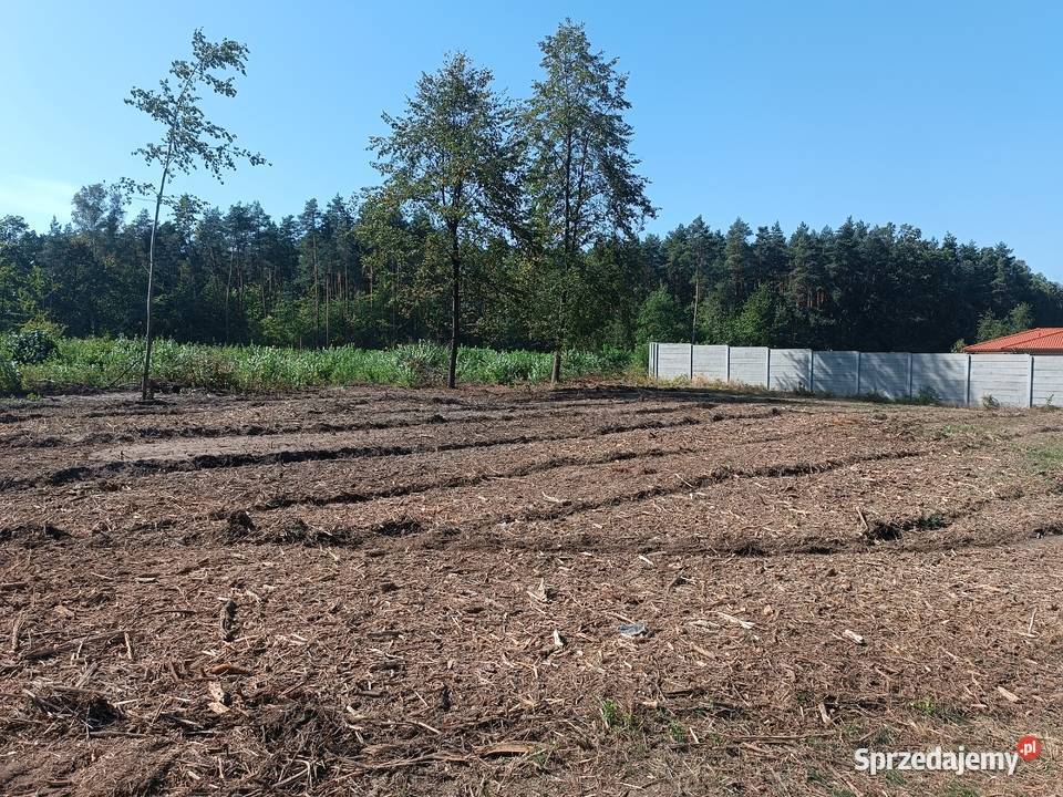 Mulczowanie Mulczer POWIERZCHNIOWY WGŁEBNY Karczowanie i usuwanie drzew Skała prace ogrodowe
