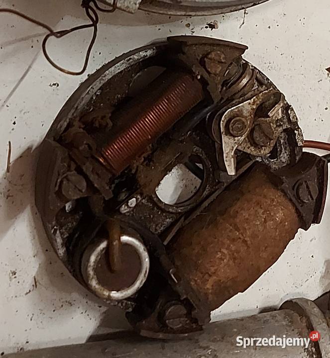 Zapłon komar ryś żak łódzkie Pajęczno