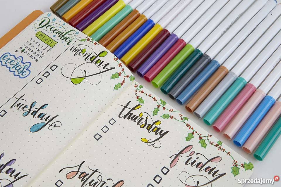 Pisaki 24 Kolory Mazaki Flamastry Crayola Super małopolskie