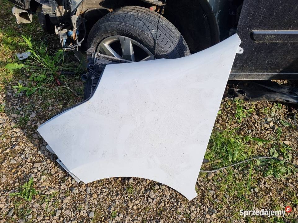 Renault Master III 3 Opel Movano B Błotnik Lewy Zestawy części blacharskich Skawina sprzedam