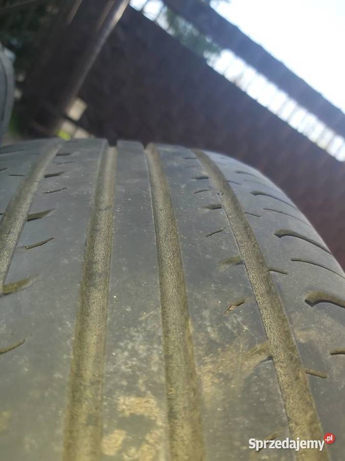 Koła 1565195 Białystok