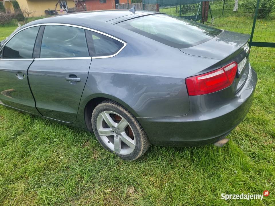 A5 8t sportback LX7R części cwiary drzwi klapa A5 podkarpackie Górzanka