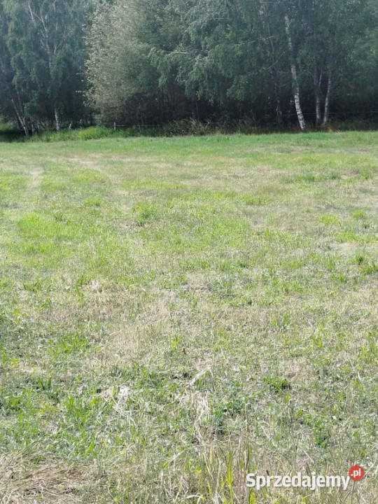 Działka z lasem i sadzawką teren z potencjałem podlaskie Sokółka