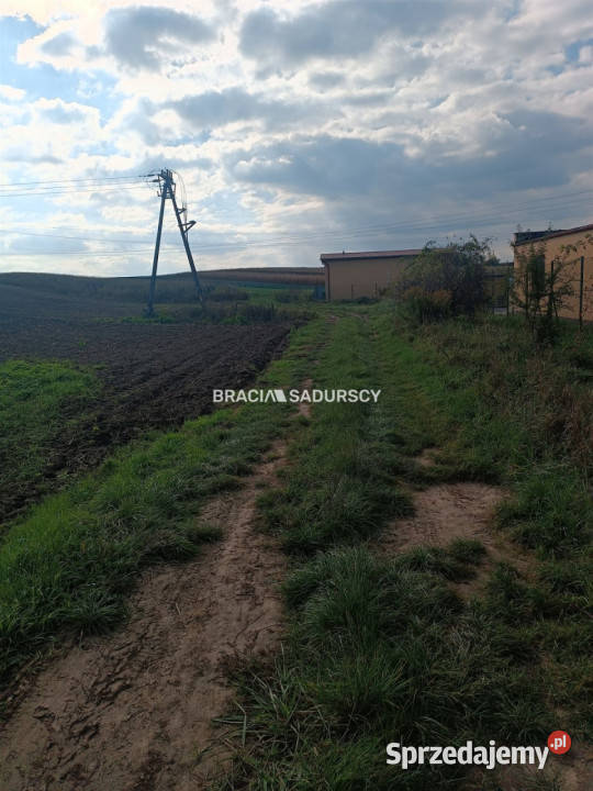 Działka Proszowice 9901m2 370m sprzedam