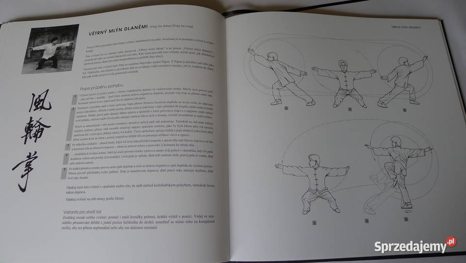 SANTER Shaolin Chi Kung 18 Exercises RARE Luohan Radom