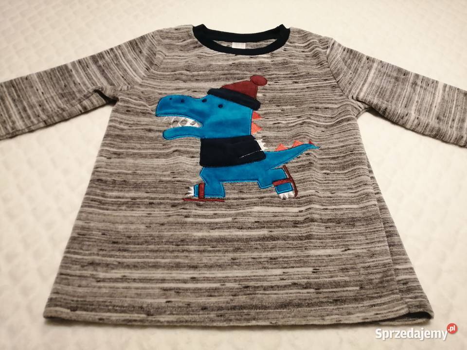 Bluza chłopięca polar długi rękaw CA 116 szara Czeladź