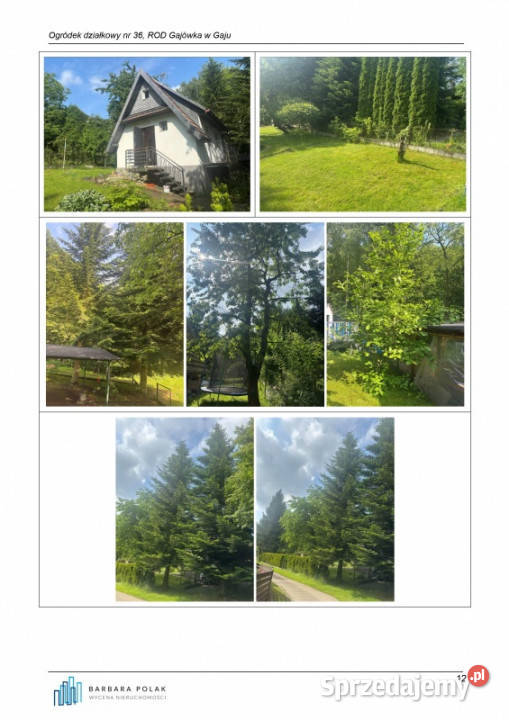 Syndyk sprzeda przeniesienie ogółu praw i Gaj sprzedam