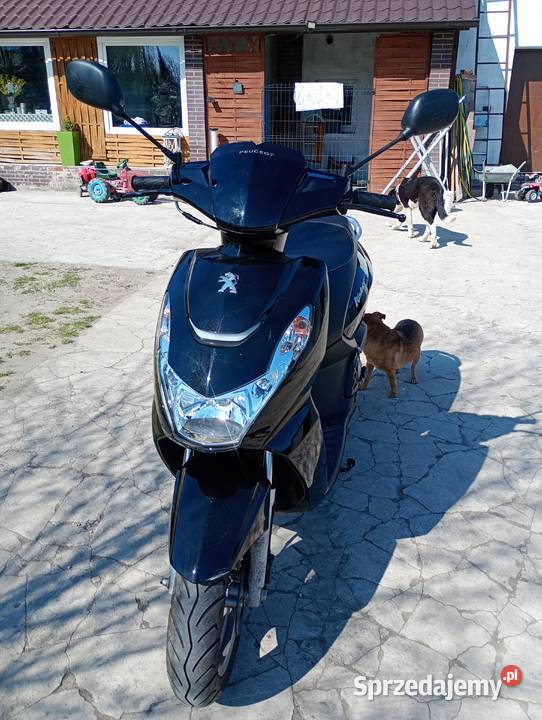 Skuter Peugeot Kobylin