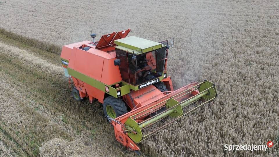 Dronningborg D7000 Bizon Z056 Class Holland Jabłonowo Pomorskie