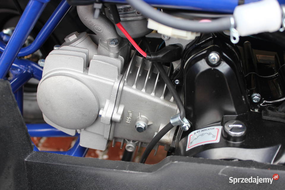 Quad 125 150 cc 4t Hammer benzyna KXD duża rama Rok produkcji 2020 Goleniów