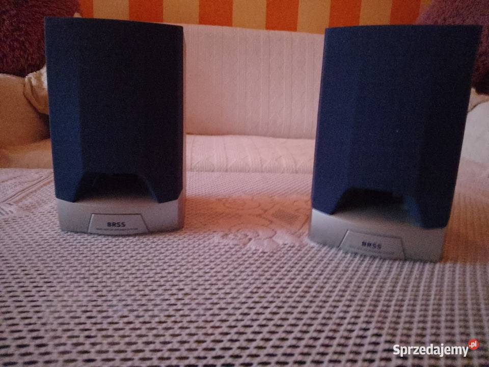 Głośniki do DVD wielkopolskie