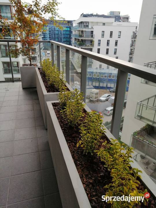 Donica nowoczesna 100x50x50h