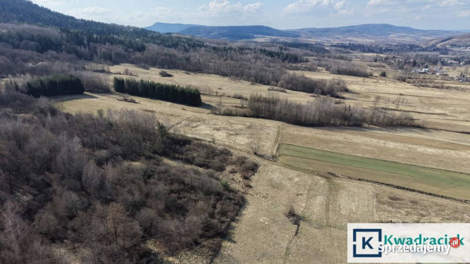 Działka Lutcza 4000m2 rolna