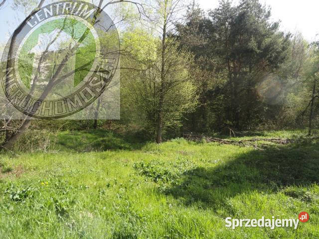 Grunt 13400m2 RoztokaBrzeziny asfalt małopolskie Roztoka-Brzeziny