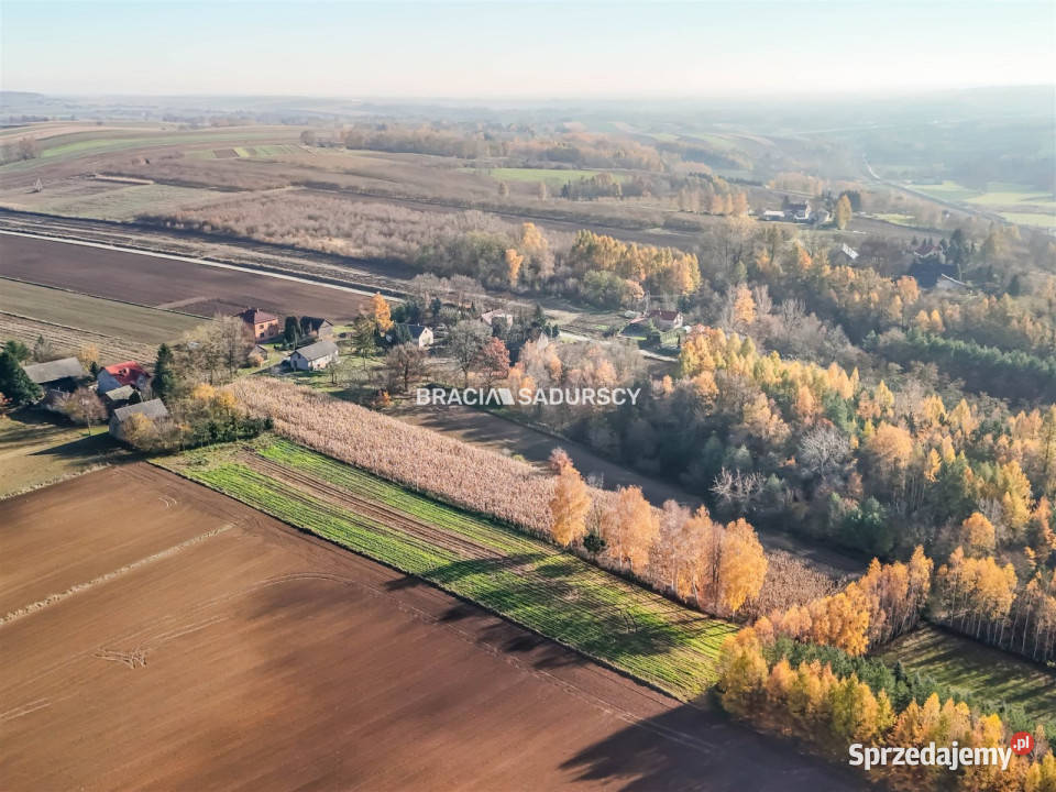 Grunt Przesławice 6000m2