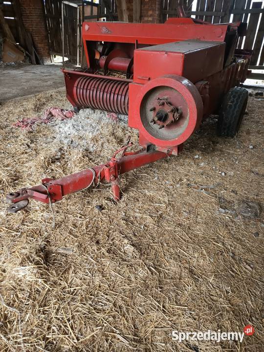 Sprzedam prase kostkującą Miedźna