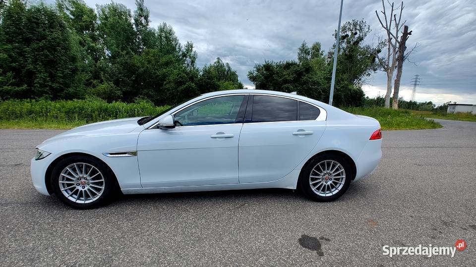 Jaguar XE 2014 Sedan 20 TD Navi Skóra Bi Ksenon Bytom sprzedam