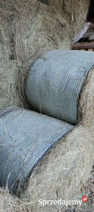siano 2025r 120x120 prasie pasowej w siatce świętokrzyskie sprzedam