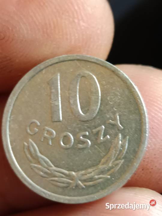 Sprzedam 10 gr 1981 r lekka skretka zzzz Chełm