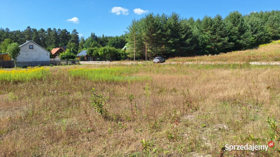 działka 1000m Roztocze Trzepieciny Krasnobród lubelskie sprzedam