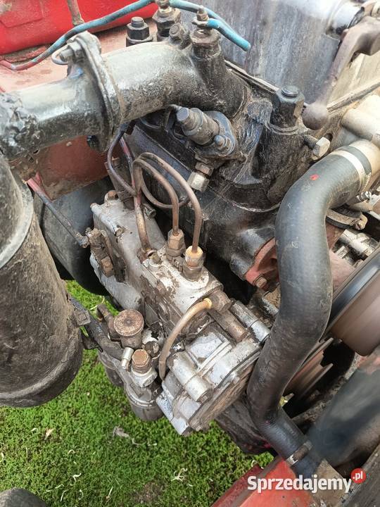 Ciągnik rolniczy Zetor K25 Radomyśl Wielki