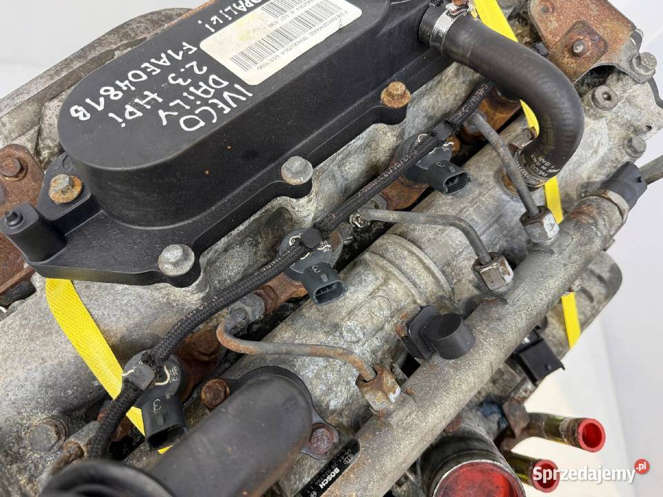SILNIK F1AE0481B Iveco Daily III 23 HPI 116 osobowe Chełm